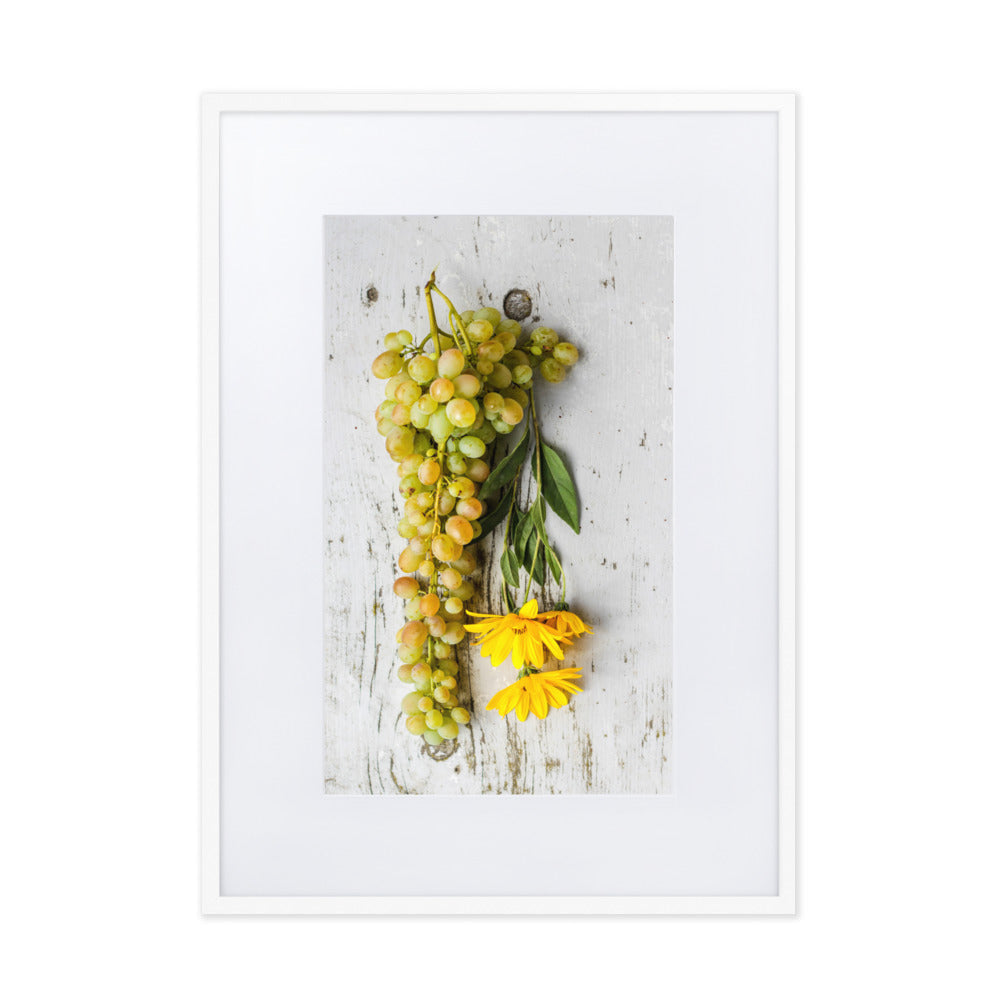 Poster mit Passepartout - Weintrauben und Blumen Kuratoren von artlia Weiß / 50×70 cm artlia