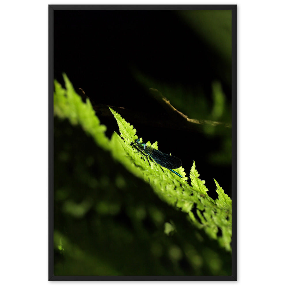 Poster mit Rahmen - Grüne Libelle Kuratoren von artlia Schwarz / 61×91 cm artlia