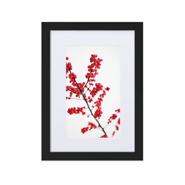 Red Berries - Poster im Rahmen mit Passepartout Kuratoren von artlia Schwarz / 21×30 cm artlia