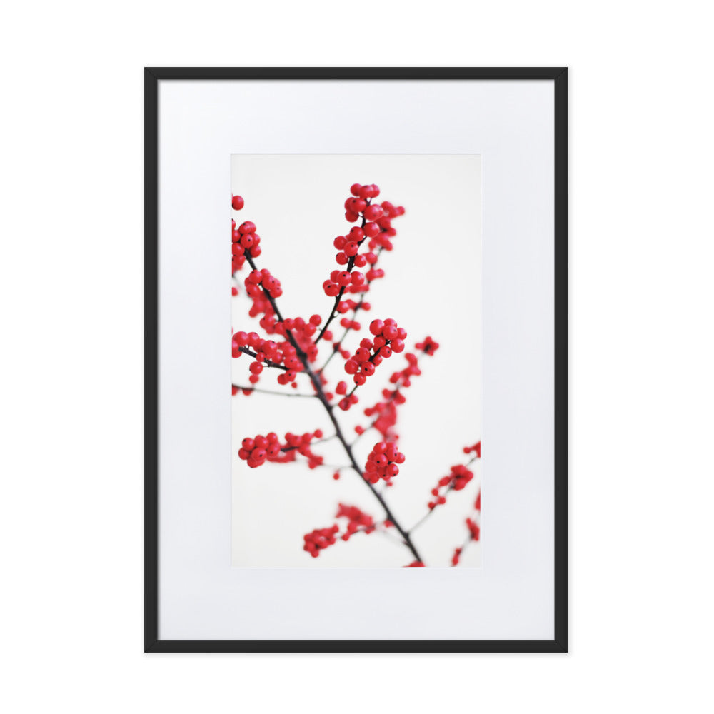 Red Berries - Poster im Rahmen mit Passepartout Kuratoren von artlia Schwarz / 50×70 cm artlia