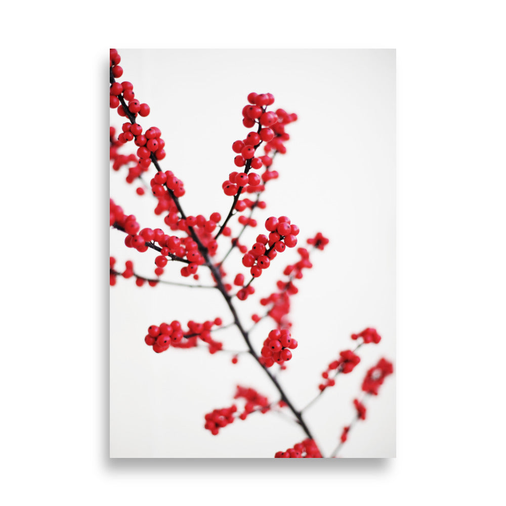 Red Berries - Poster Kuratoren von artlia 21×30 cm artlia