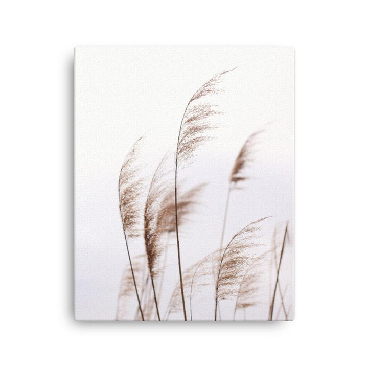 Reeds 01 - Leinwand artlia 16″×20″ artlia