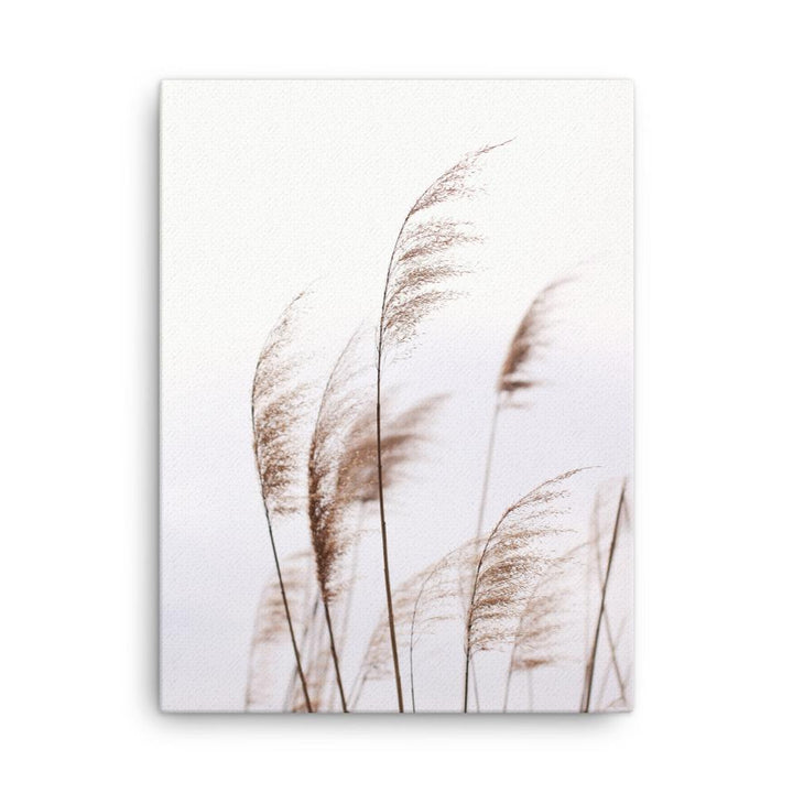 Reeds 01 - Leinwand artlia 18″×24″ artlia