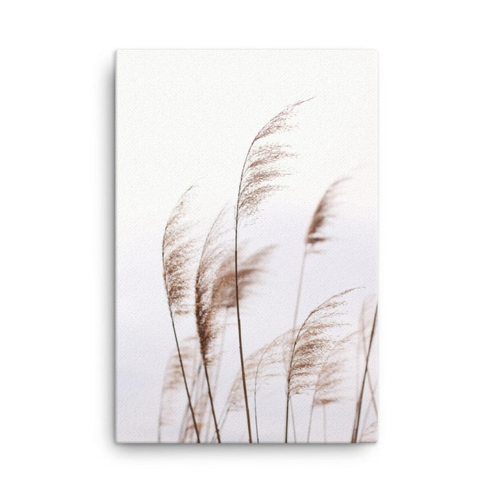 Reeds 01 - Leinwand artlia 24″×36″ artlia