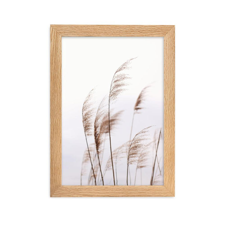 Reeds 01 - Poster im Rahmen artlia Oak / 21×30 cm artlia