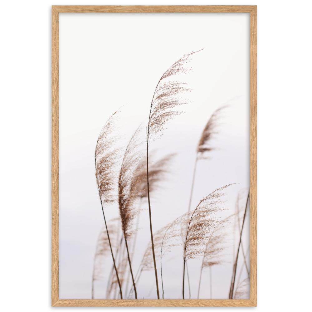 Reeds 01 - Poster im Rahmen artlia Oak / 61×91 cm artlia