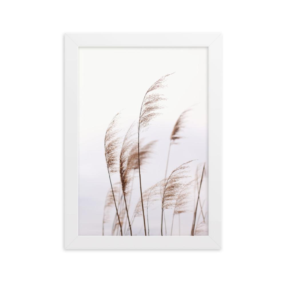 Reeds 01 - Poster im Rahmen artlia Weiß / 21×30 cm artlia