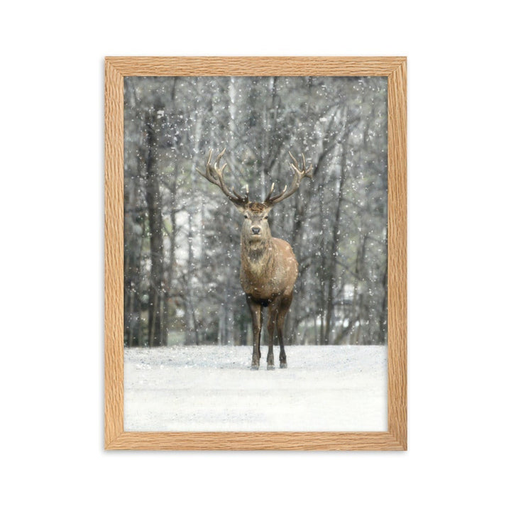 Rotwild im Schnee - Poster im Rahmen artlia Oak / 30×40 cm artlia