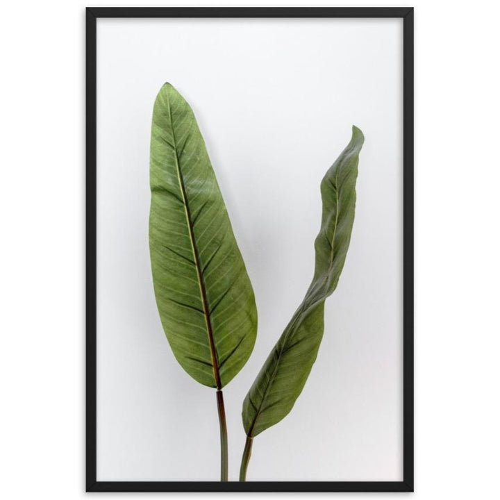 Tropical Leaves - Poster im Rahmen Kuratoren von artlia schwarz / 61x91 cm artlia