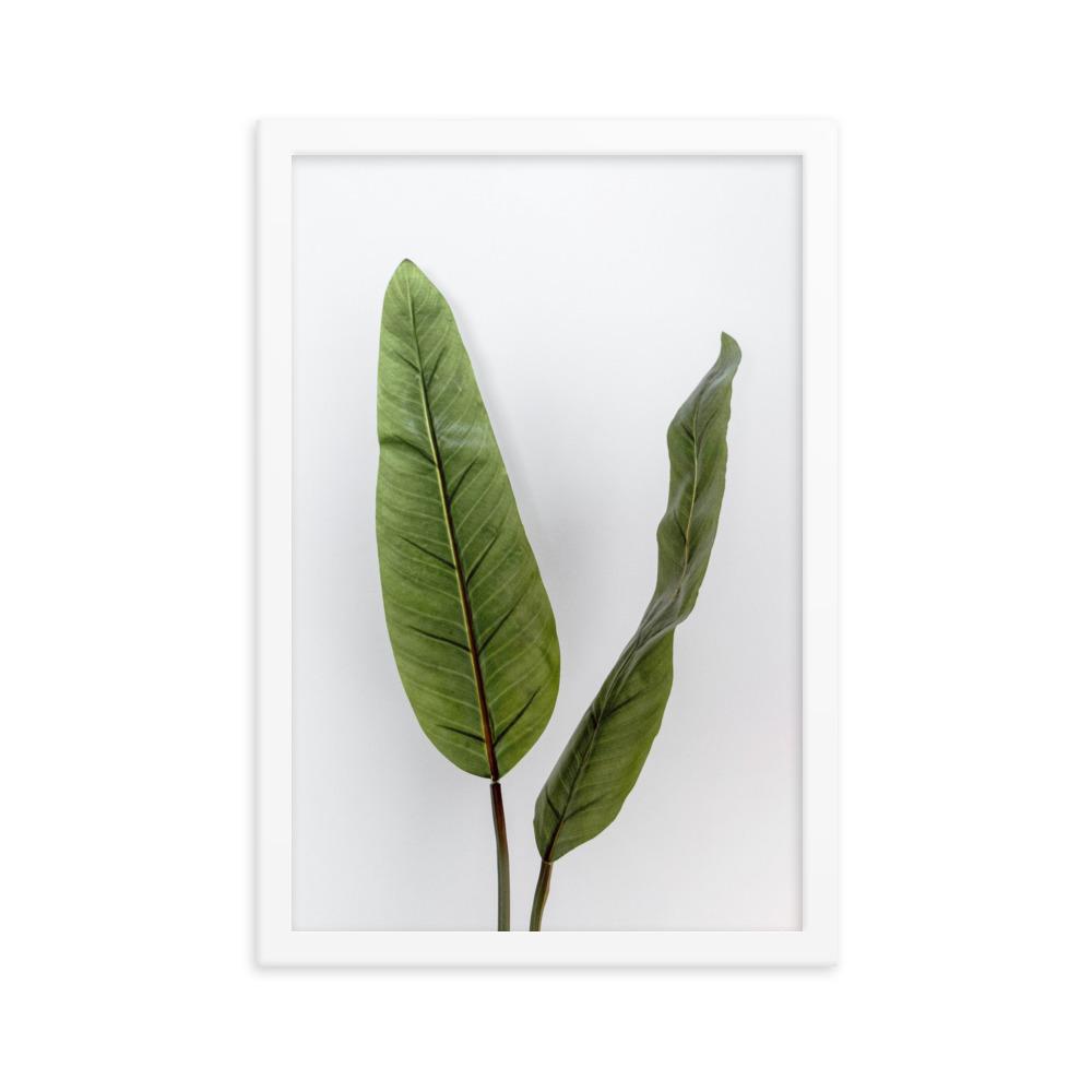 Tropical Leaves - Poster im Rahmen Kuratoren von artlia weiß / 30x45 cm artlia