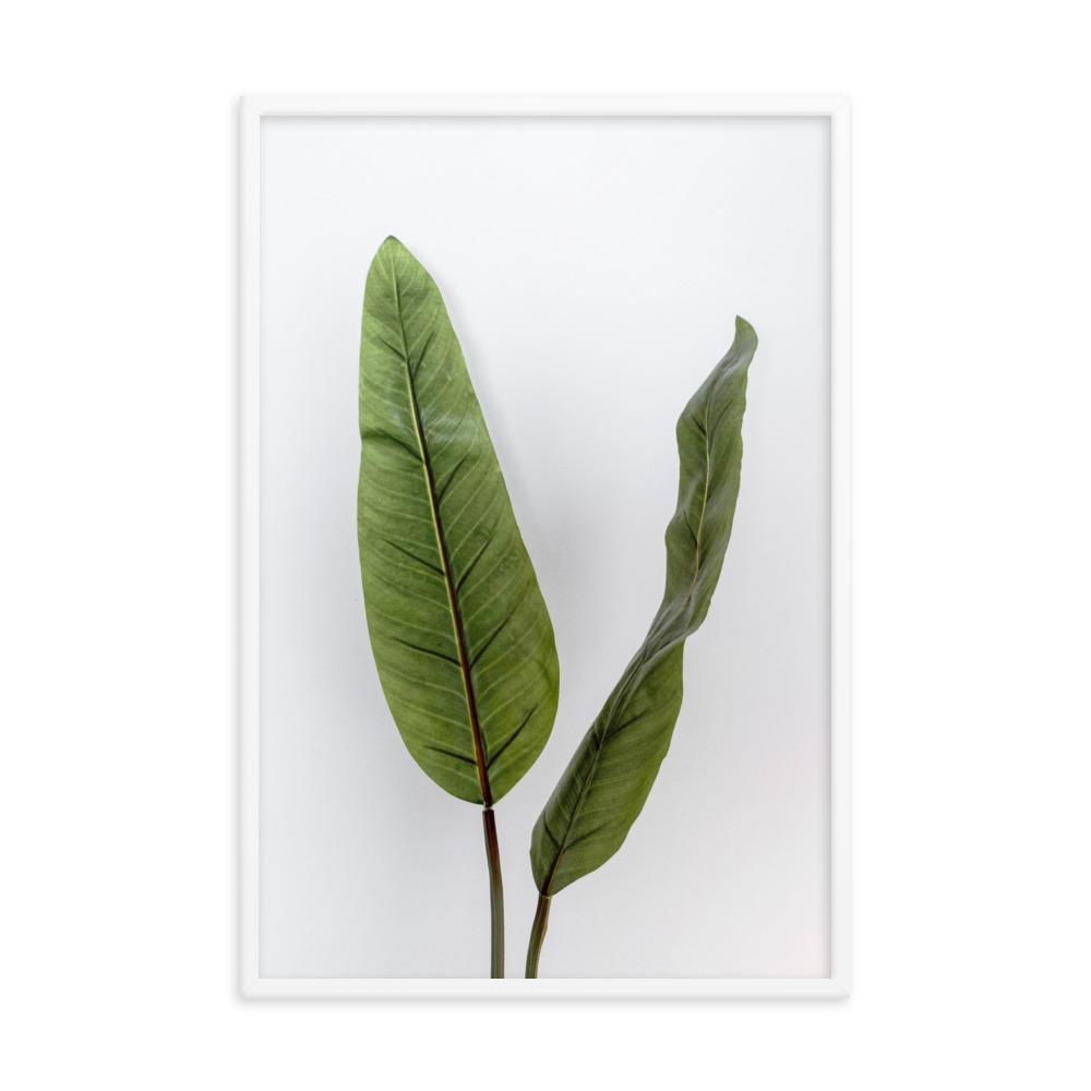 Tropical Leaves - Poster im Rahmen Kuratoren von artlia weiß / 61x91 cm artlia
