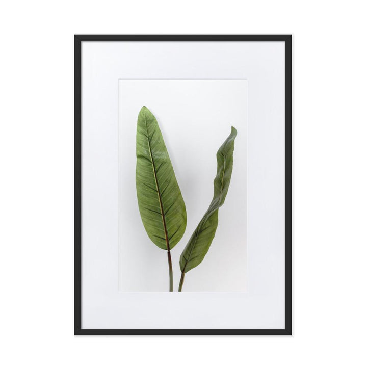 Tropical Leaves - Poster im Rahmen mit Passepartout Kuratoren von artlia schwarz / 50×70 cm artlia
