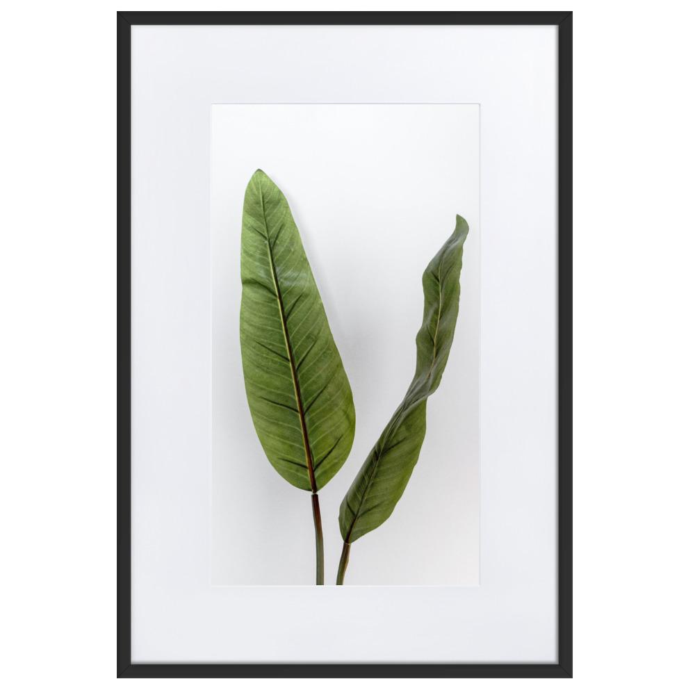 Tropical Leaves - Poster im Rahmen mit Passepartout Kuratoren von artlia schwarz / 61×91 cm artlia