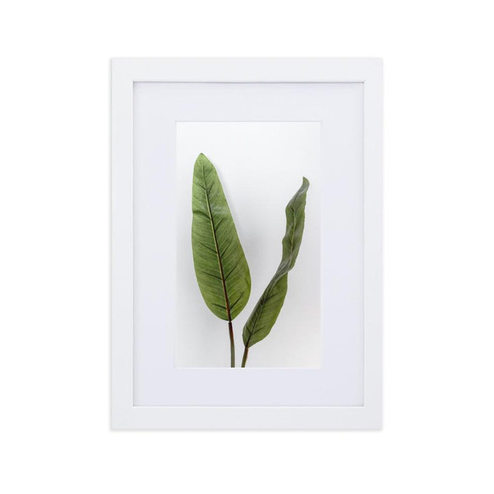 Tropical Leaves - Poster im Rahmen mit Passepartout Kuratoren von artlia weiß / 21×30 cm artlia