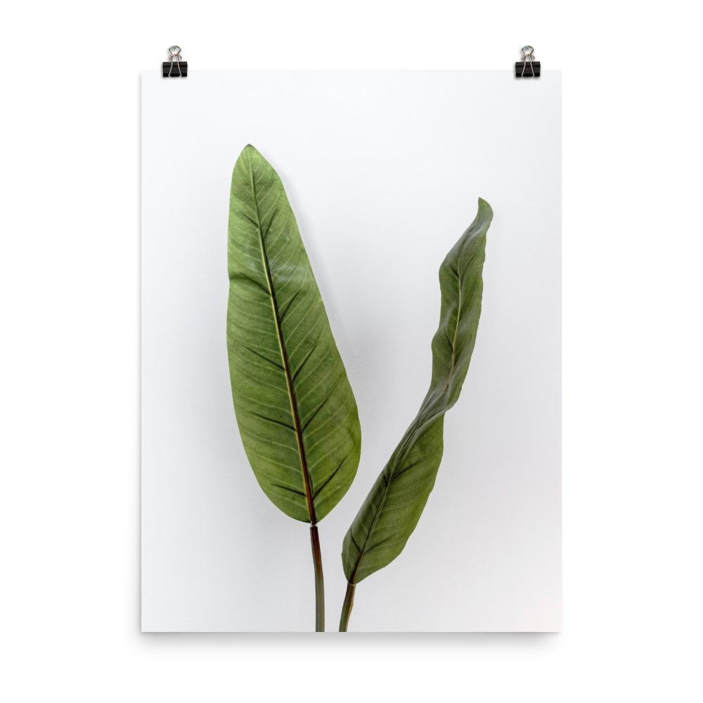 Tropical Leaves - Poster Kuratoren von artlia 30x41 cm artlia