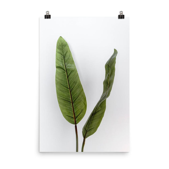 Tropical Leaves - Poster Kuratoren von artlia 30x45 cm artlia