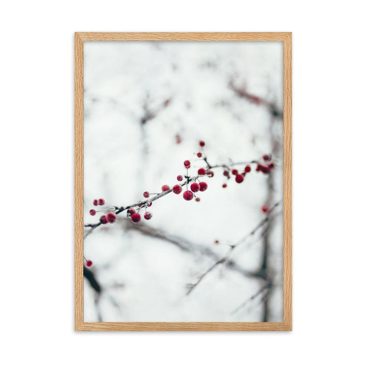 Winterbeeren Winterberries - Poster im Rahmen artlia Oak / 50×70 cm artlia