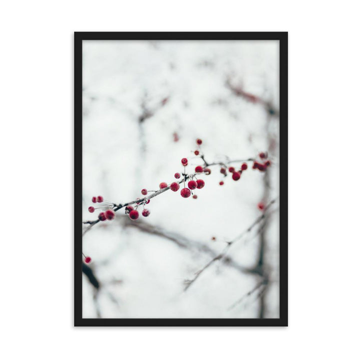 Winterbeeren Winterberries - Poster im Rahmen artlia Schwarz / 50×70 cm artlia