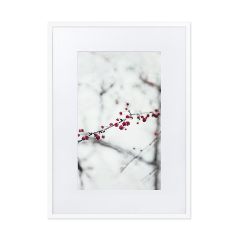 Winterbeeren Winterberries - Poster im Rahmen mit Passepartout artlia Weiß / 50×70 cm artlia