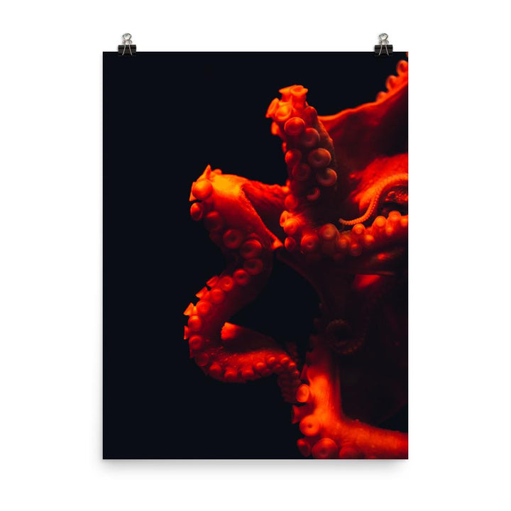 Wütender Oktopus - Poster artlia 30x41 cm artlia