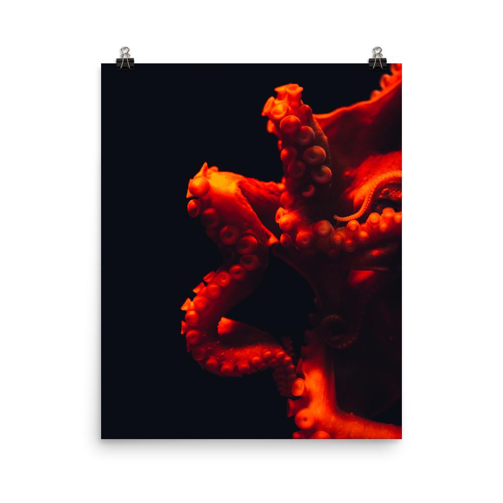 Wütender Oktopus - Poster artlia 41x51 cm artlia