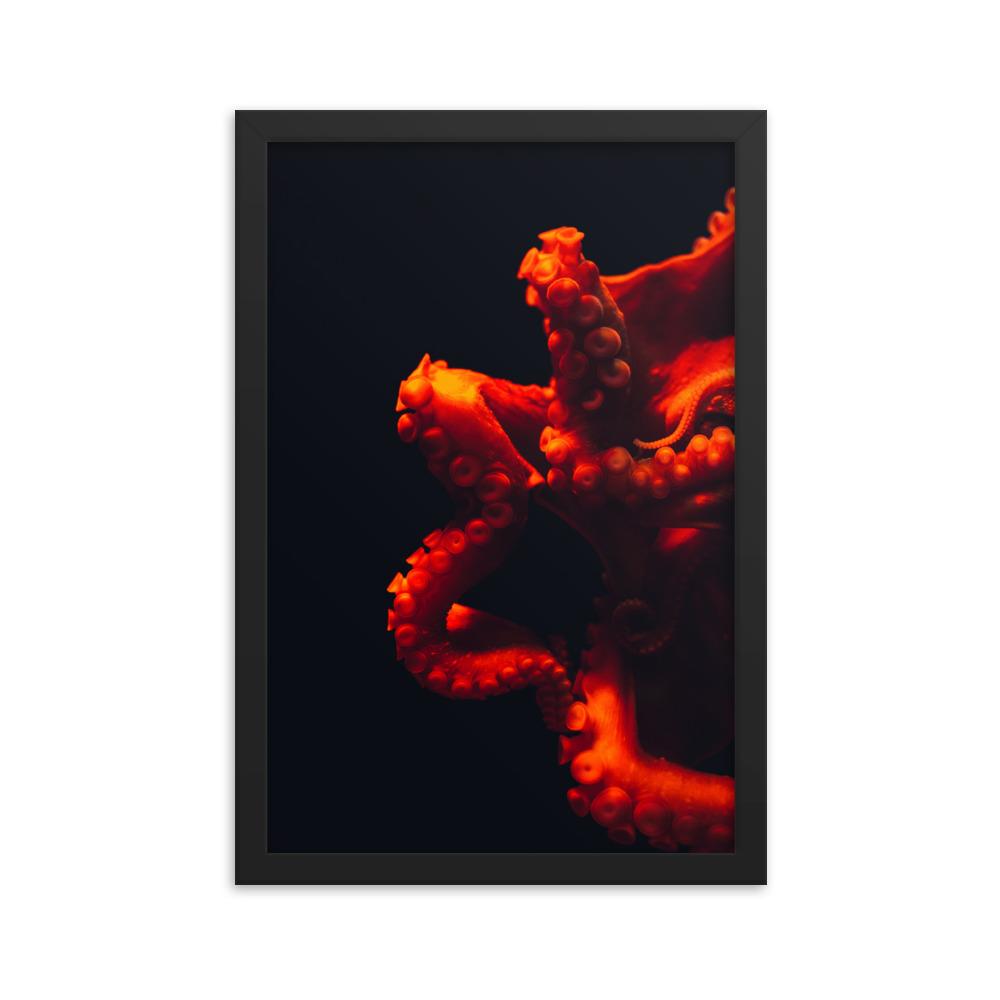 Wütender Oktopus - Poster im Rahmen artlia Schwarz / 12×18 artlia