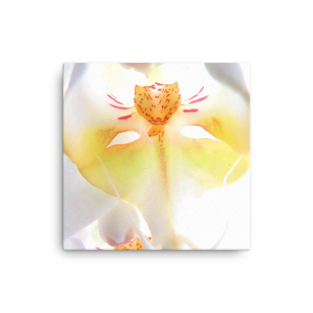 Yellow Orchid - Leinwand Kuratoren von artlia 30x30 cm artlia