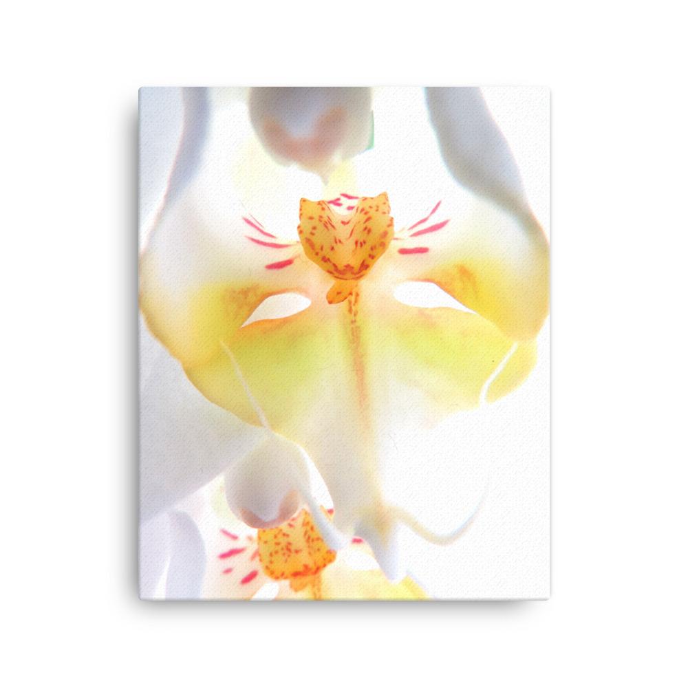 Yellow Orchid - Leinwand Kuratoren von artlia 41x51 cm artlia
