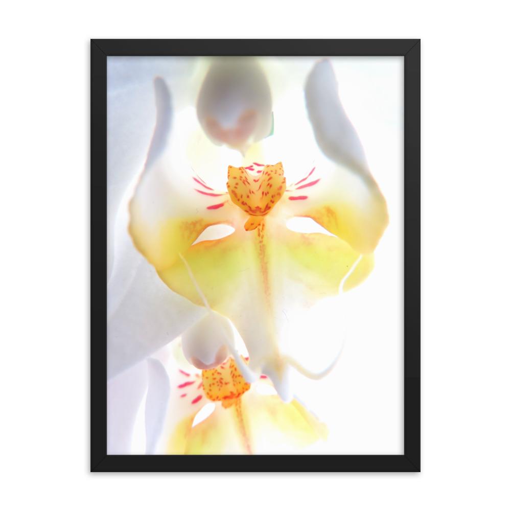 Yellow Orchid - Poster im Rahmen Kuratoren von artlia schwarz / 30x41 cm artlia