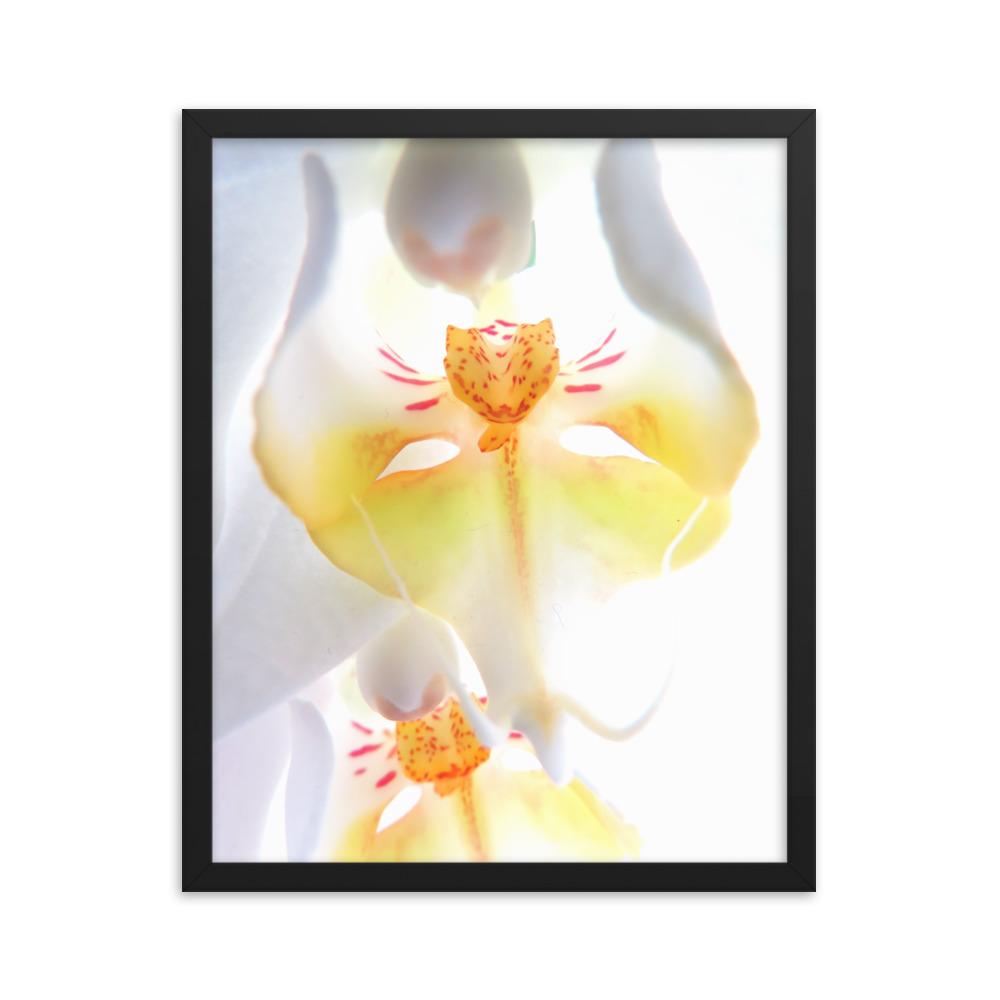 Yellow Orchid - Poster im Rahmen Kuratoren von artlia schwarz / 41x51 cm artlia