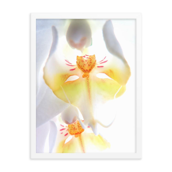 Yellow Orchid - Poster im Rahmen Kuratoren von artlia weiß / 30x41 cm artlia