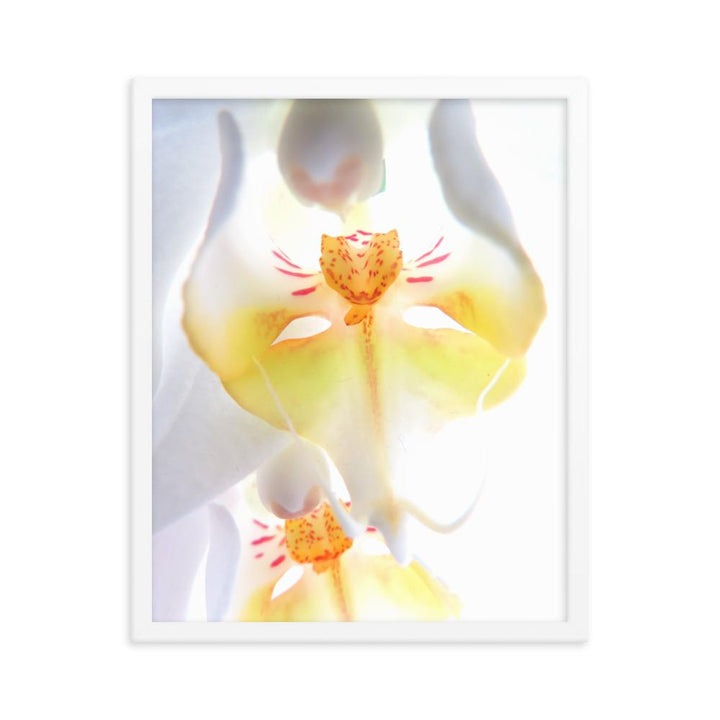 Yellow Orchid - Poster im Rahmen Kuratoren von artlia weiß / 41x51 cm artlia