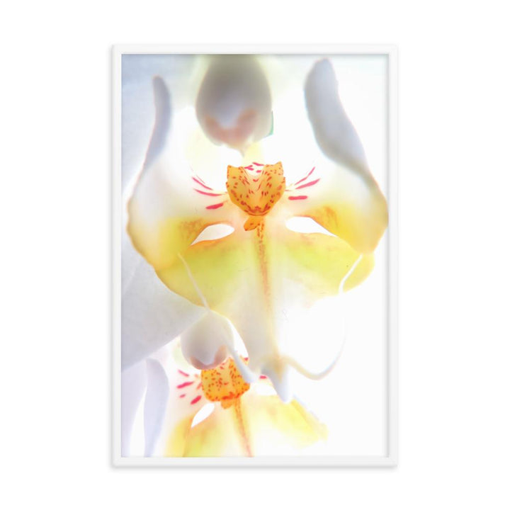 Yellow Orchid - Poster im Rahmen Kuratoren von artlia weiß / 61x91 cm artlia