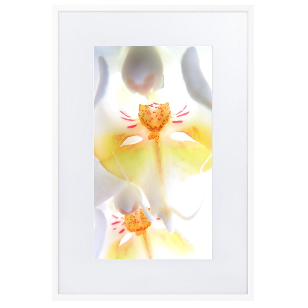Yellow Orchid - Poster im Rahmen mit Passepartout Kuratoren von artlia artlia