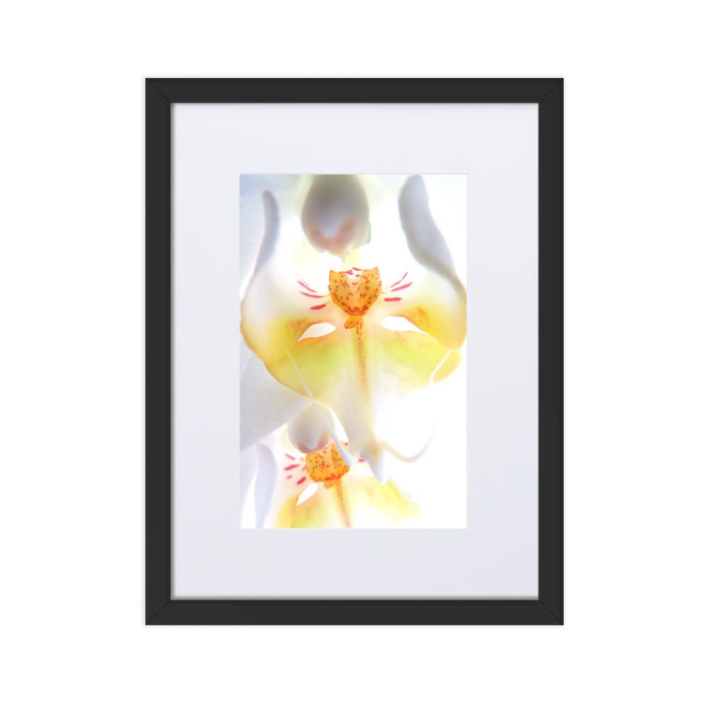 Yellow Orchid - Poster im Rahmen mit Passepartout Kuratoren von artlia schwarz / 30×40 cm artlia