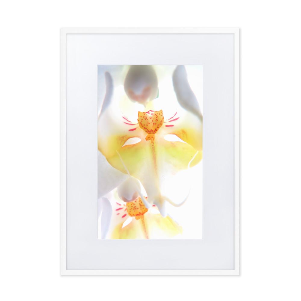 Yellow Orchid - Poster im Rahmen mit Passepartout Kuratoren von artlia weiß / 50×70 cm artlia
