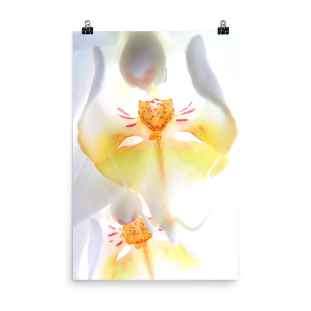 Yellow Orchid - Poster Kuratoren von artlia 30x45 cm artlia