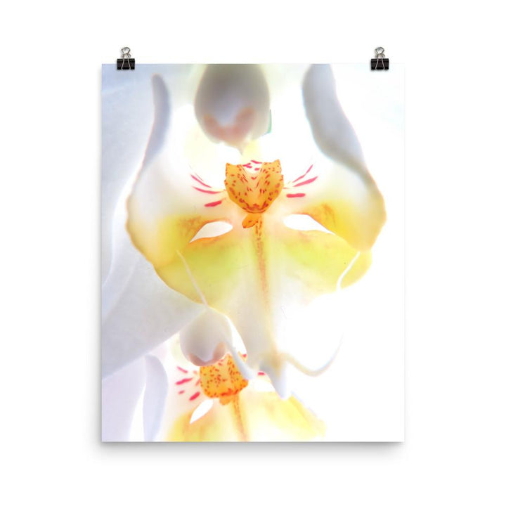 Yellow Orchid - Poster Kuratoren von artlia 41x51 cm artlia