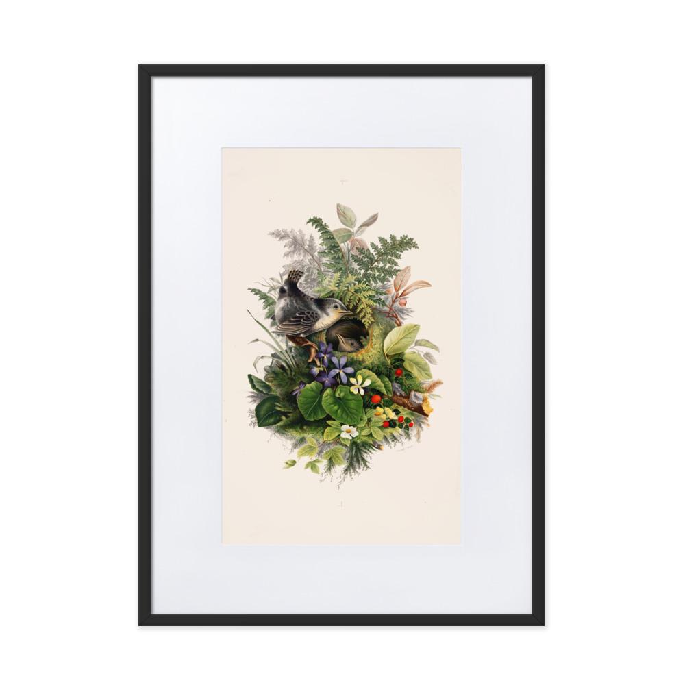 Zaunkönig und das Nest - Poster im Rahmen mit Passepartout Boston Public Library schwarz / 50×70 cm artlia